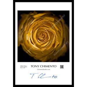Yellow Rose by Tony Chimento Signed Art Poster 13"x19"